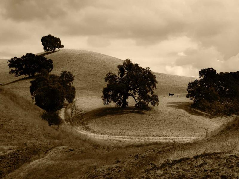 sudoku puzzle bundle